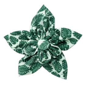 Collar Flower | Tropical Leaves