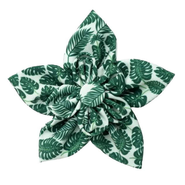 Collar Flower | Tropical Leaves