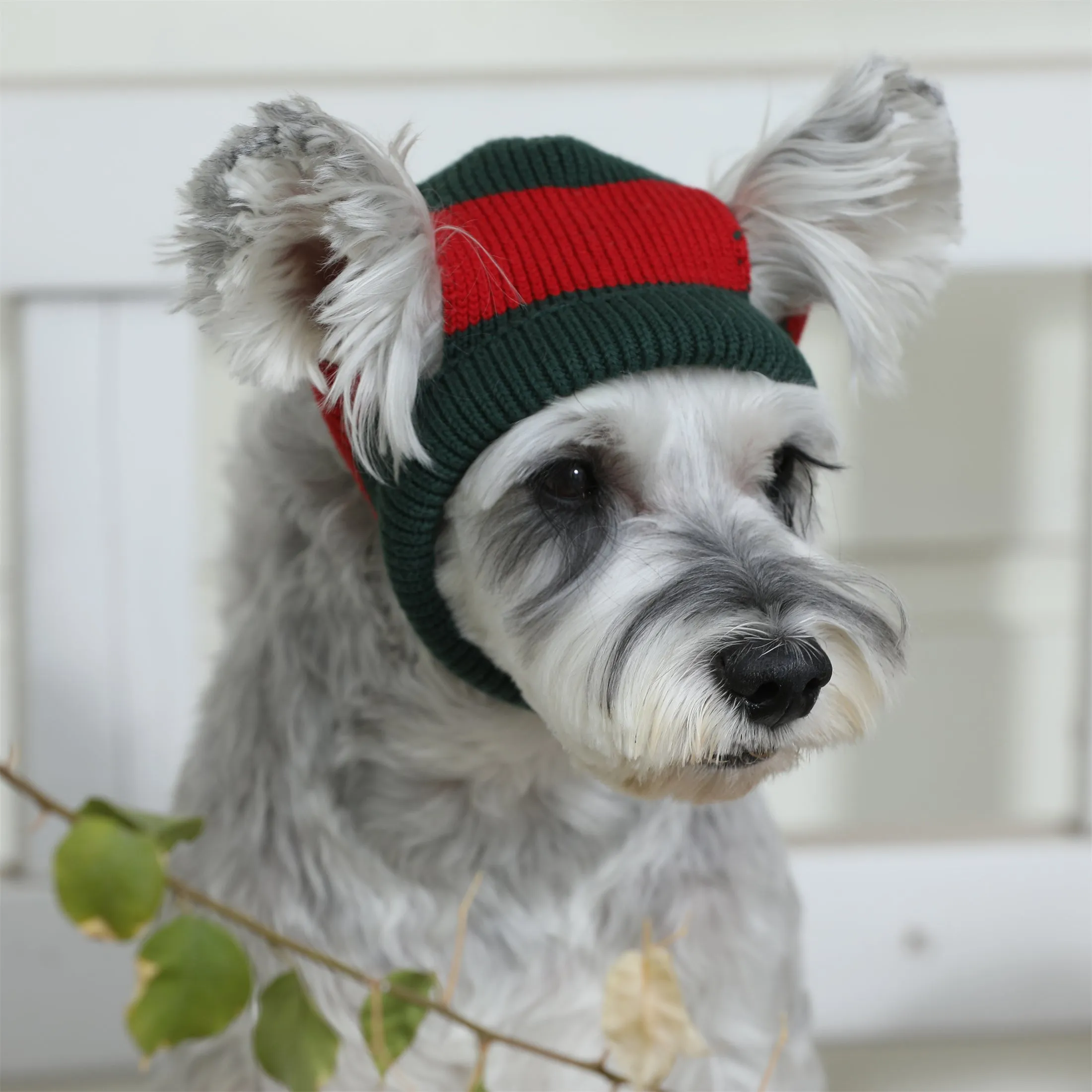 Contrast Woollen Hat