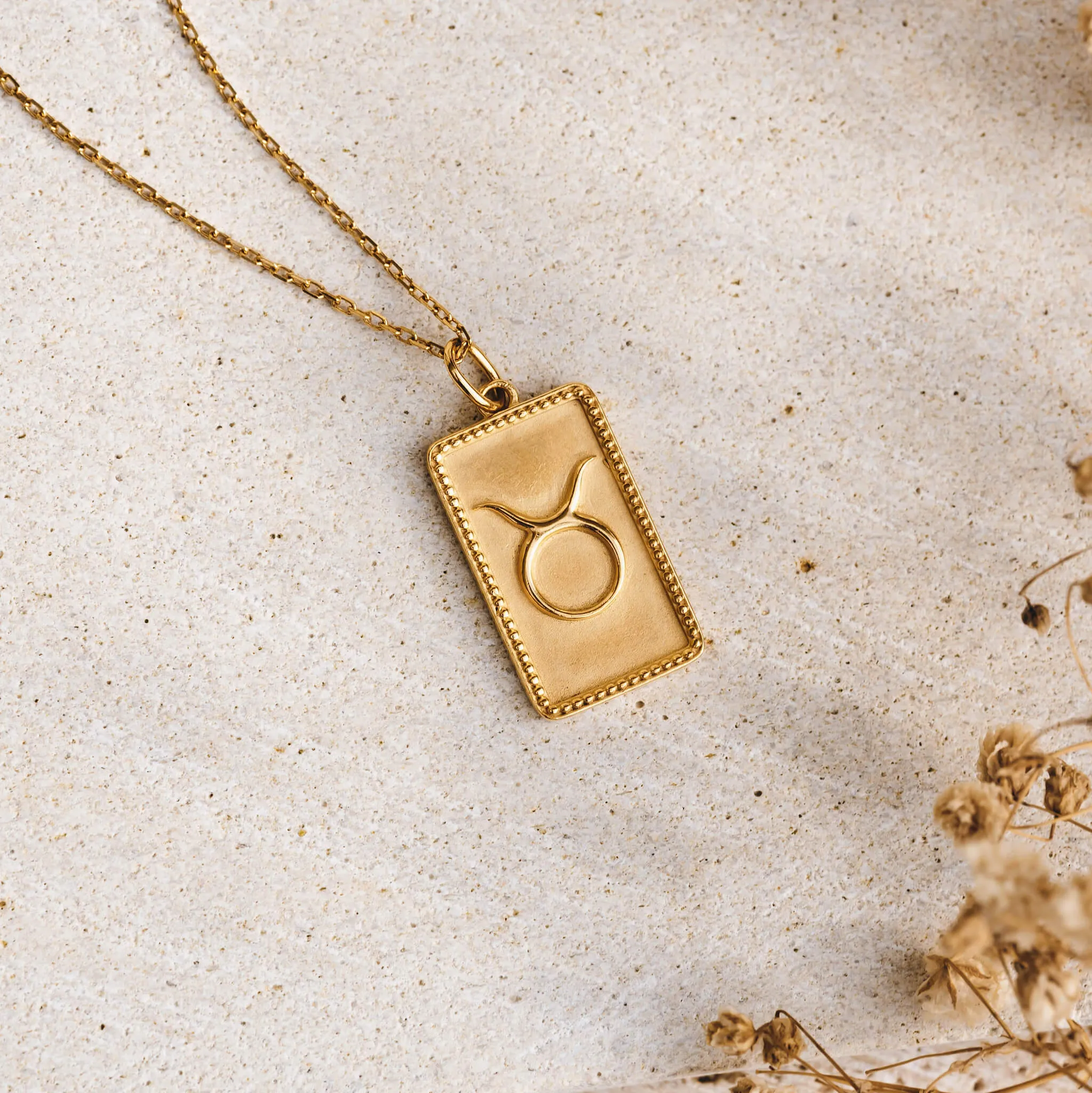 Taurus Necklace with Charm Pendant